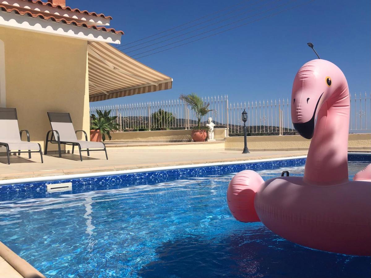 Peyia Palm Villa 파포스 외부 사진